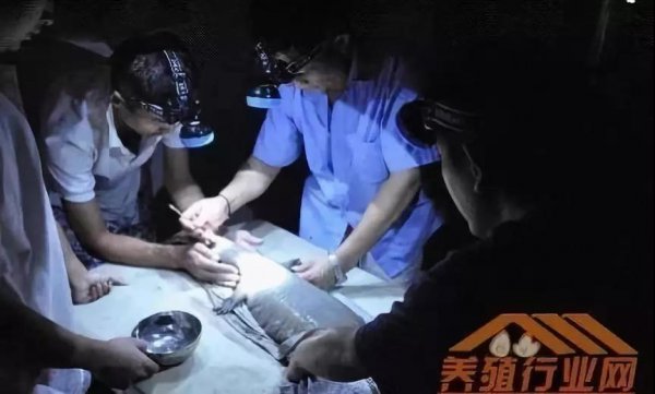 資本試水區(qū)塊鏈生物科技+大健康，場(chǎng)景應(yīng)用時(shí)代已然來(lái)臨！
